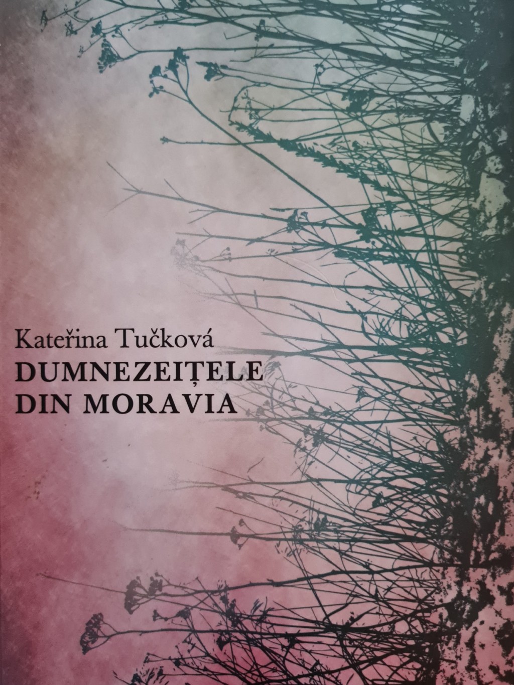 Dumnezeițele din Moravia