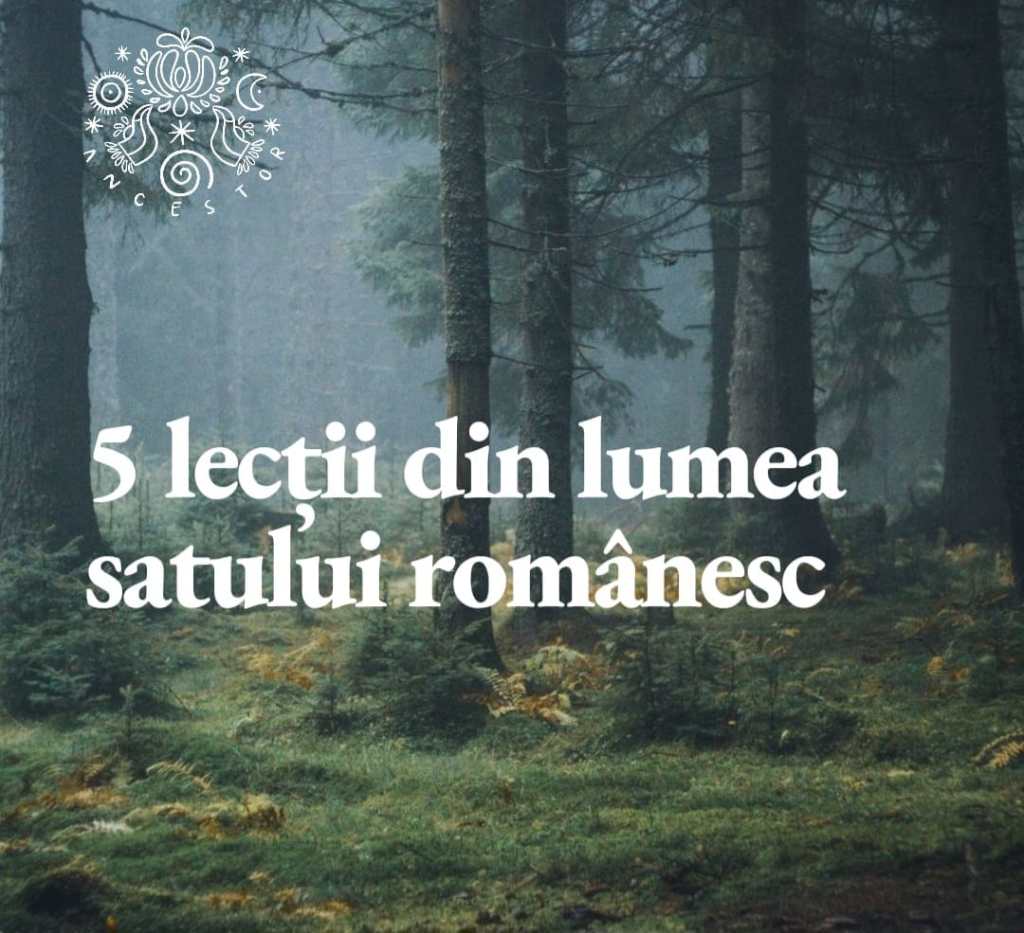 Lecțiile satului românesc